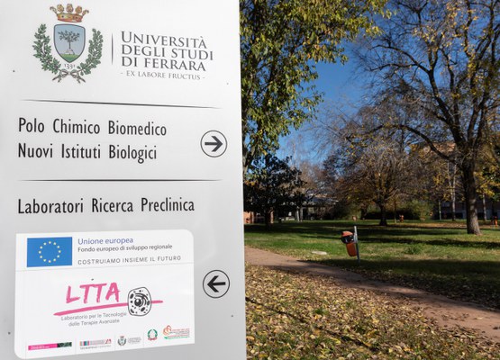 Mammut.jpeg Mammut.jpeg